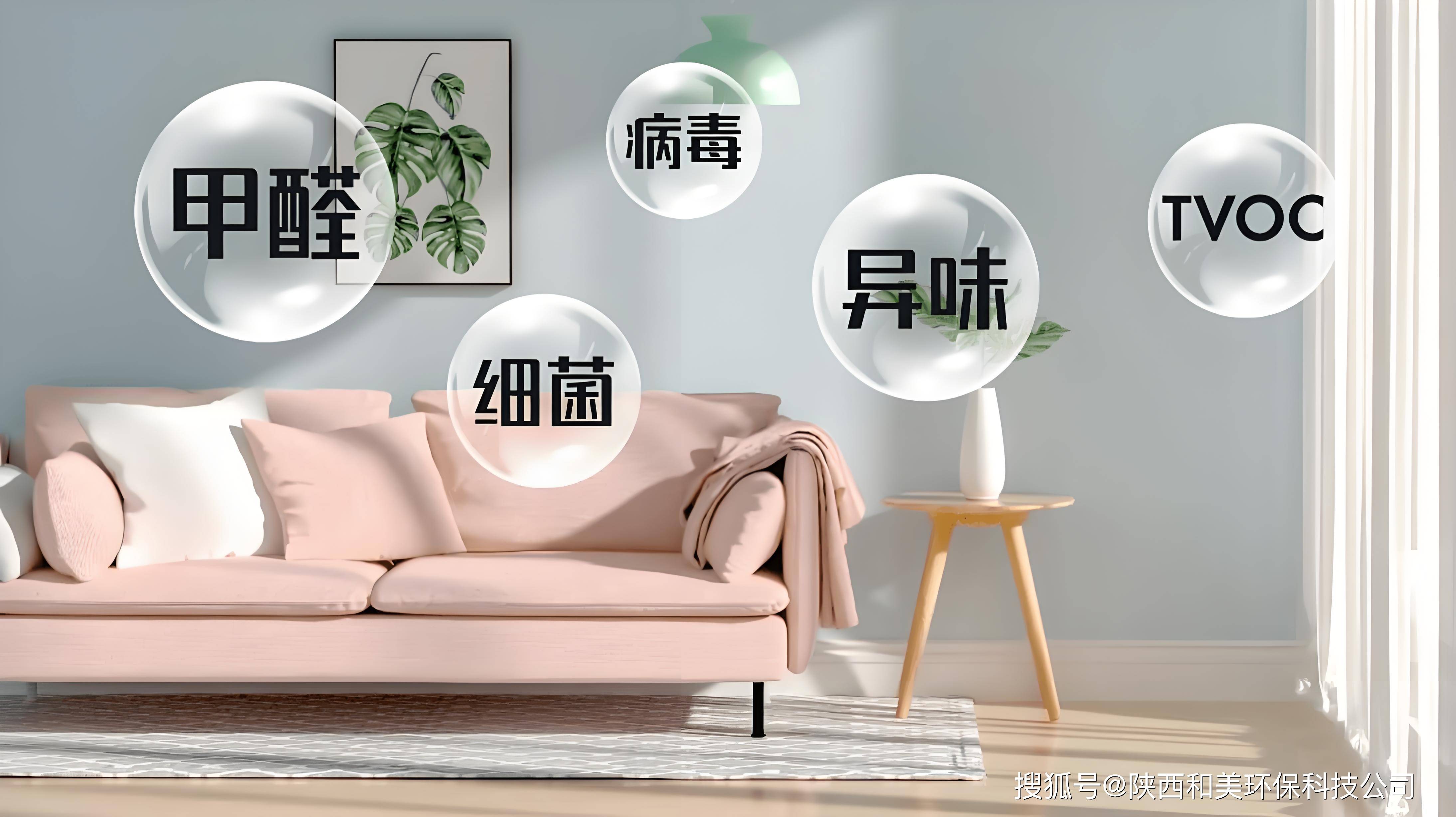新装修的房子用什么去除甲醛最好,什么去除甲醛最好
