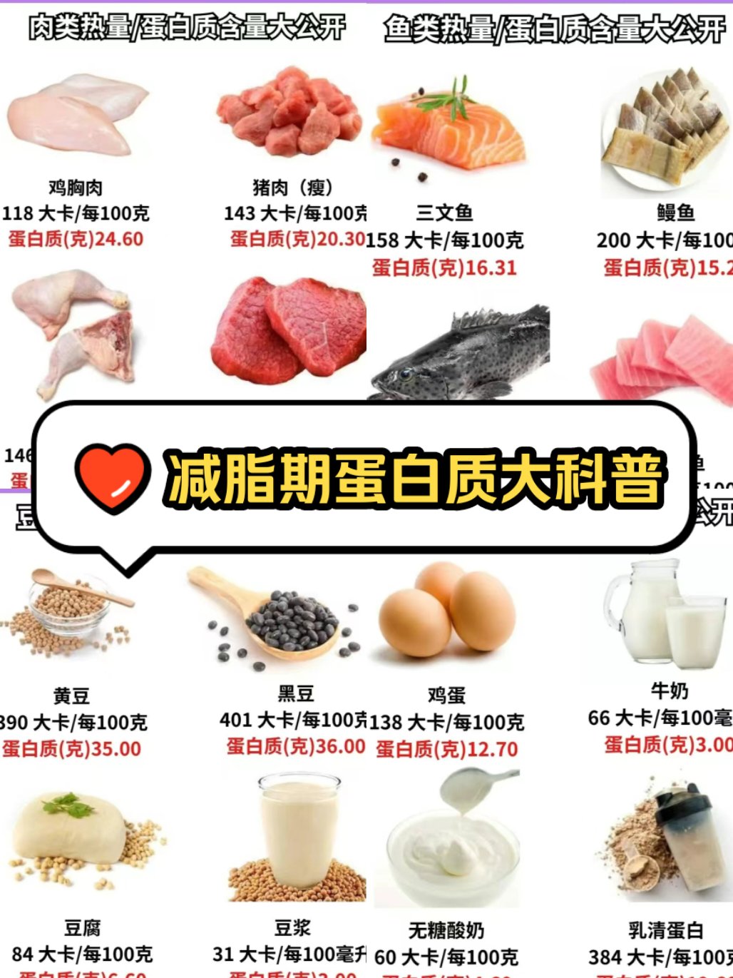 减肥蛋白减肥蛋白粉什么品牌的最好用