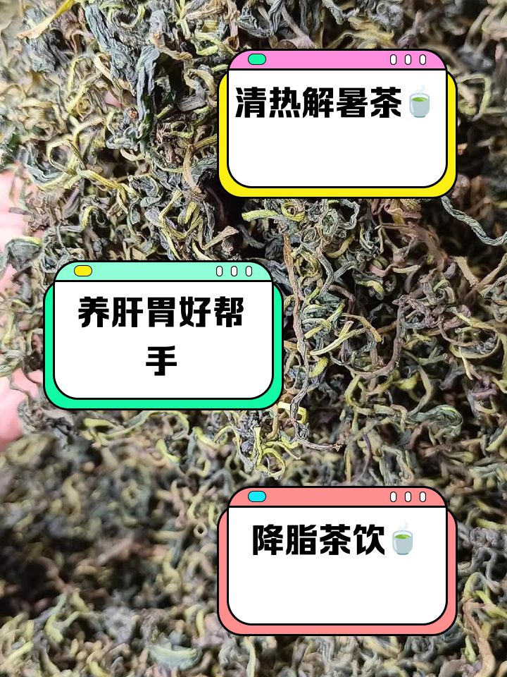 茵陈蒲公英茶的功效,蒲公英茶的功效