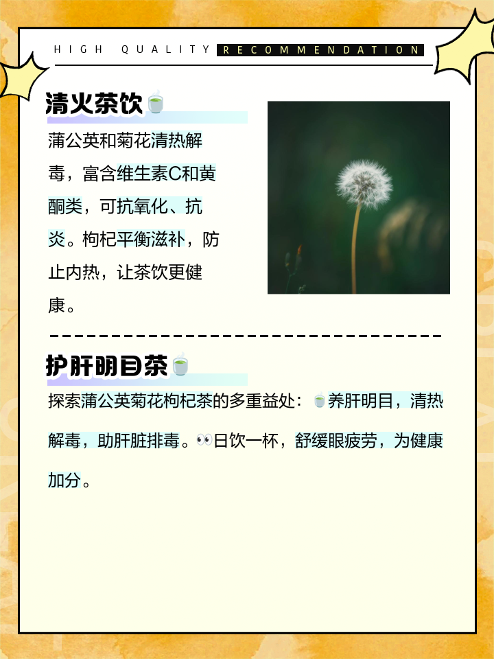 茵陈蒲公英茶的功效,蒲公英茶的功效