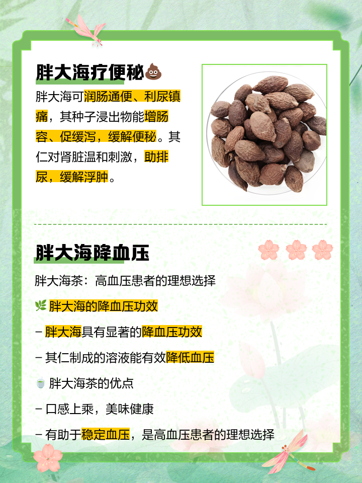 橘红和胖大海的功效与作用,胖大海的功效与作用