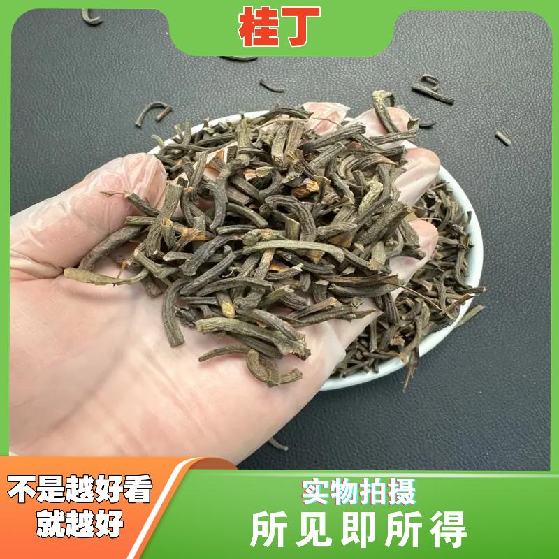 桂丁与桂枝有什么区别桂丁