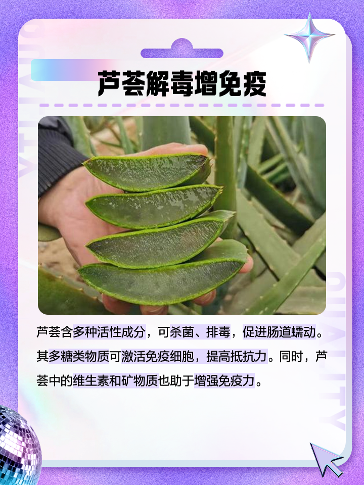 芦荟的功效与作用芦荟的功效与作用祛除疤痕
