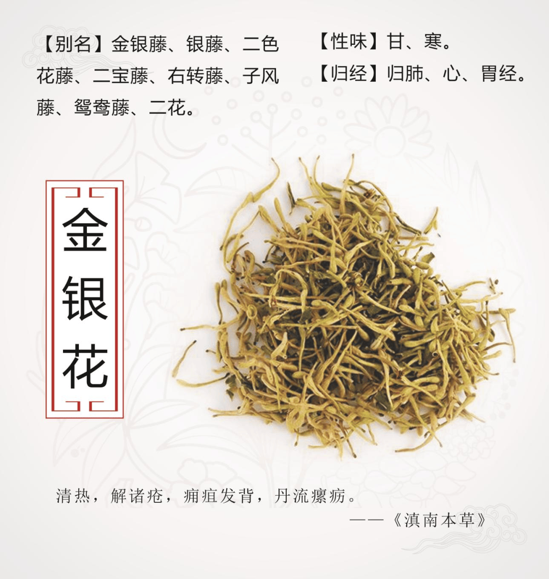 金银花泡水的作用与功效风寒感冒能吃羊肉吗的简单介绍