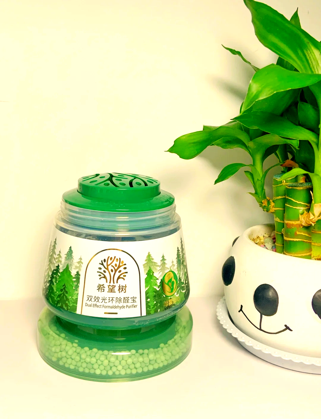 希望树除甲醛怎么样甲醛去除的正确方法.选foh希望树