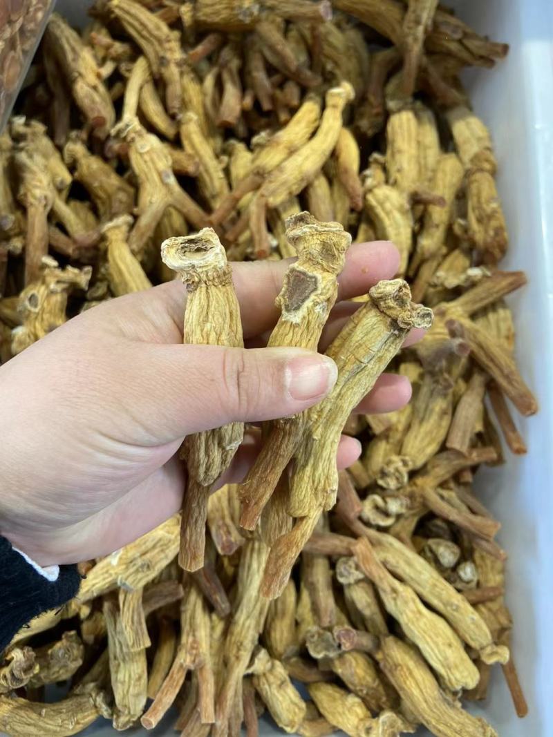 高丽参的作用与功能主治,高丽参