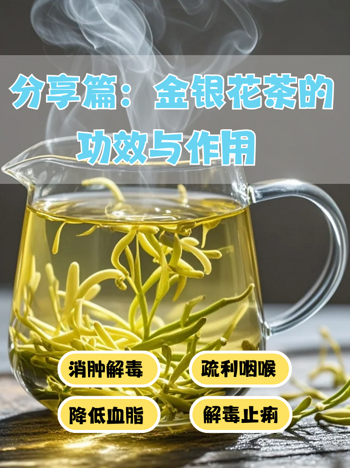 金银花露的功效金银花露功效与作用及禁忌