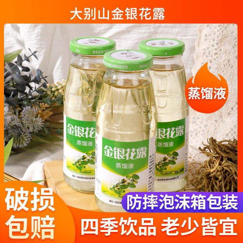 金银花露小说阅读金银花露的小说在哪里看?