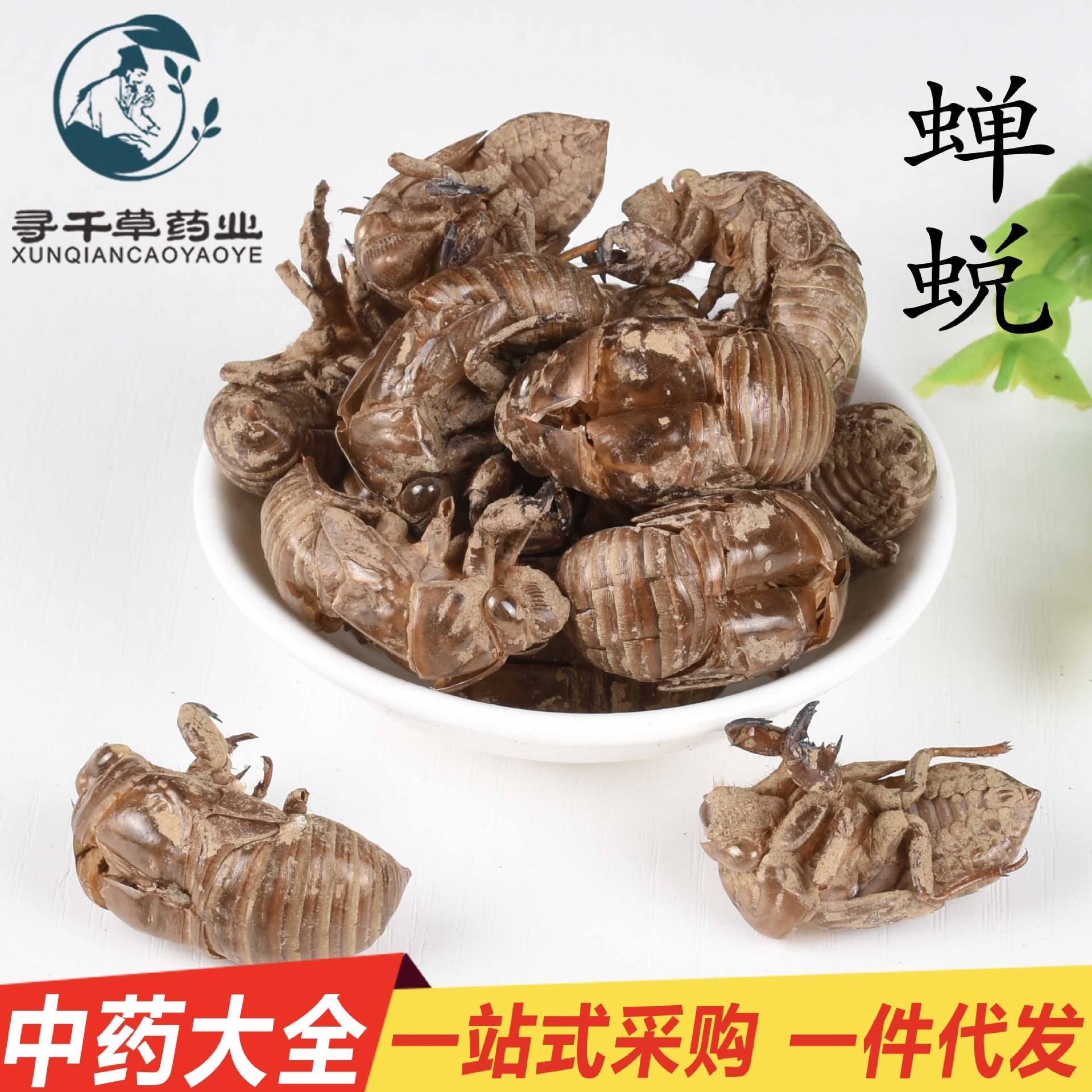 蝉壳功效作用与主治,蝉蜕的功效和作用
