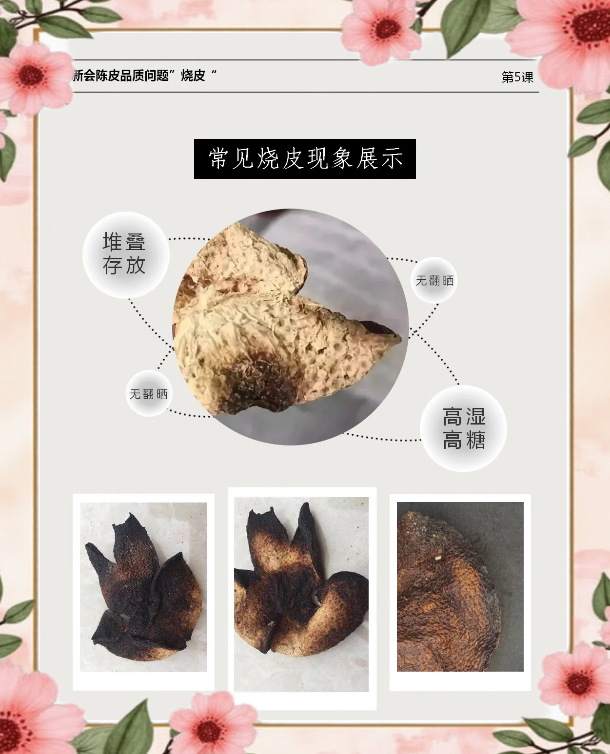 陈皮皮和卫光明的关系的简单介绍