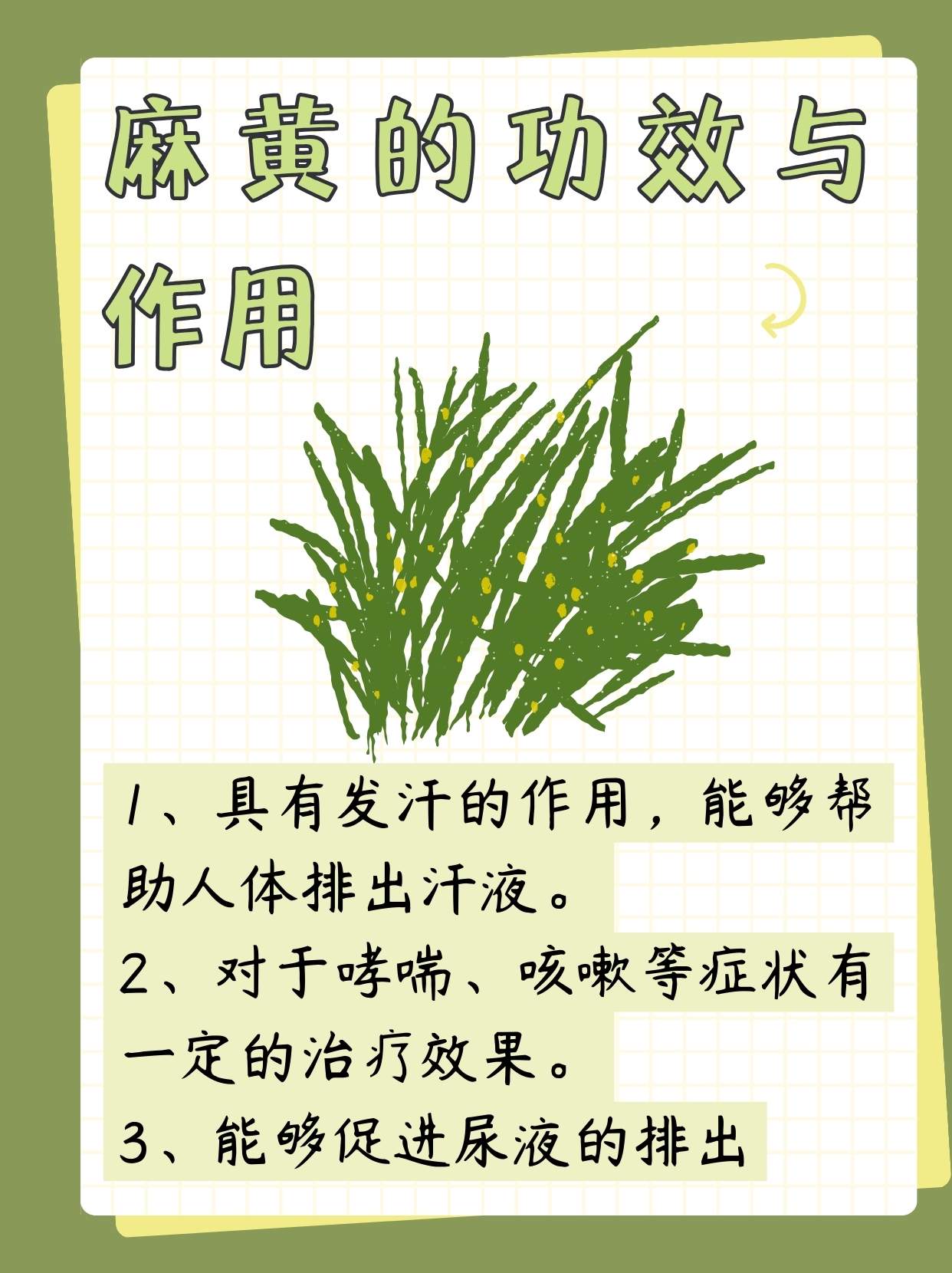 麻黄的功效与作用及副作用,麻黄的功效与作用及副作用是什么
