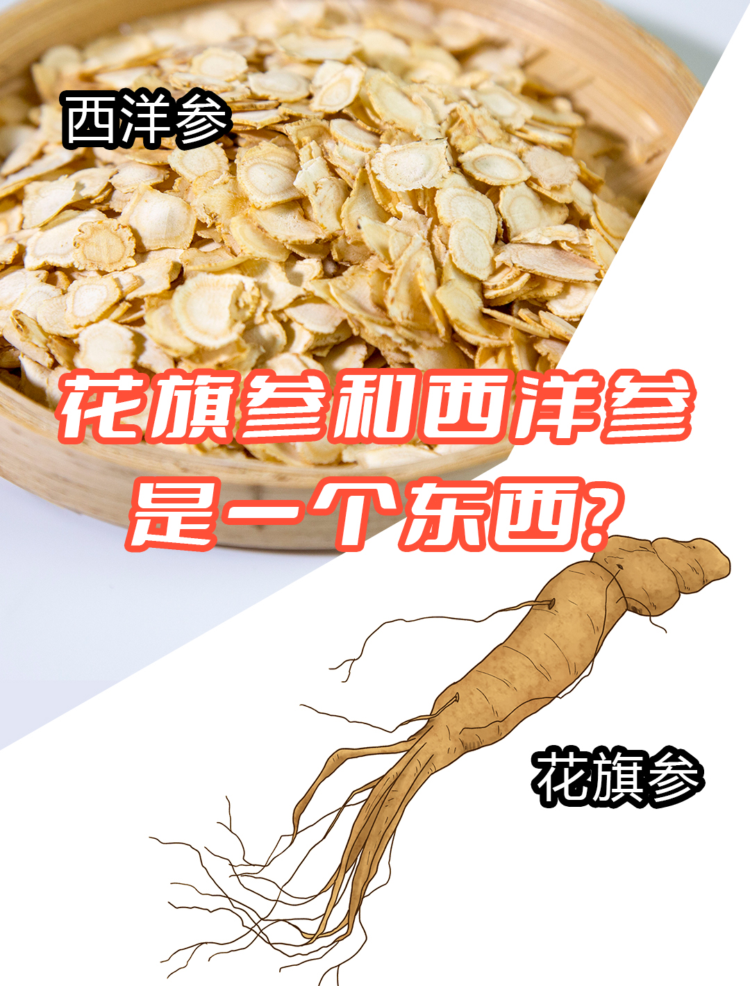 花旗参的功效与作用花旗参的功效与作用与主治