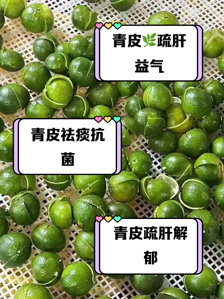 青皮,青皮与陈皮功效区别