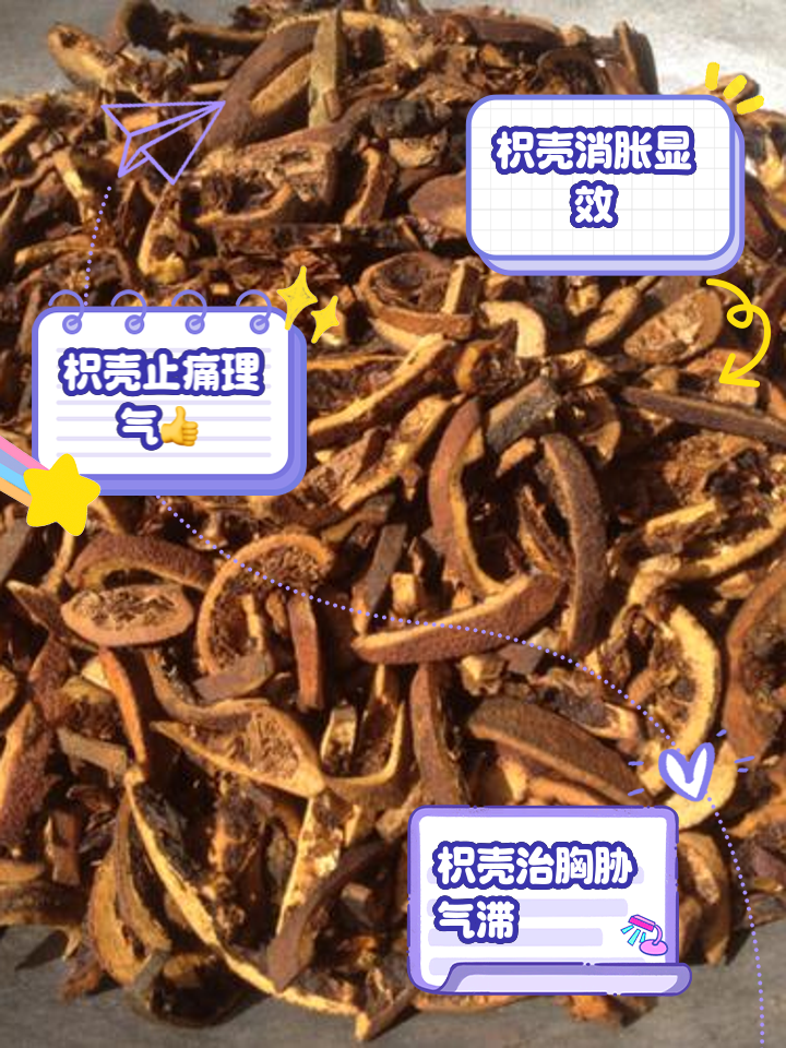 枳壳的功效枳壳的功效与作用及食用方法