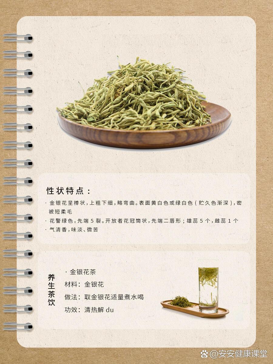 金银花茶的功效与作用金银花茶的功效与作用及副作用
