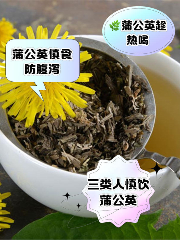 蒲公英泡水喝竟有6个害处蒲公英能与金银花一起喝蒲公英泡水喝竟有6个害处