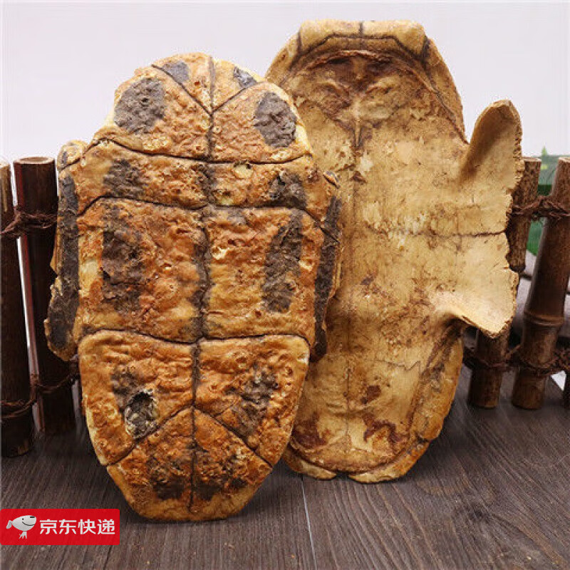 炙龟板炙龟板别名