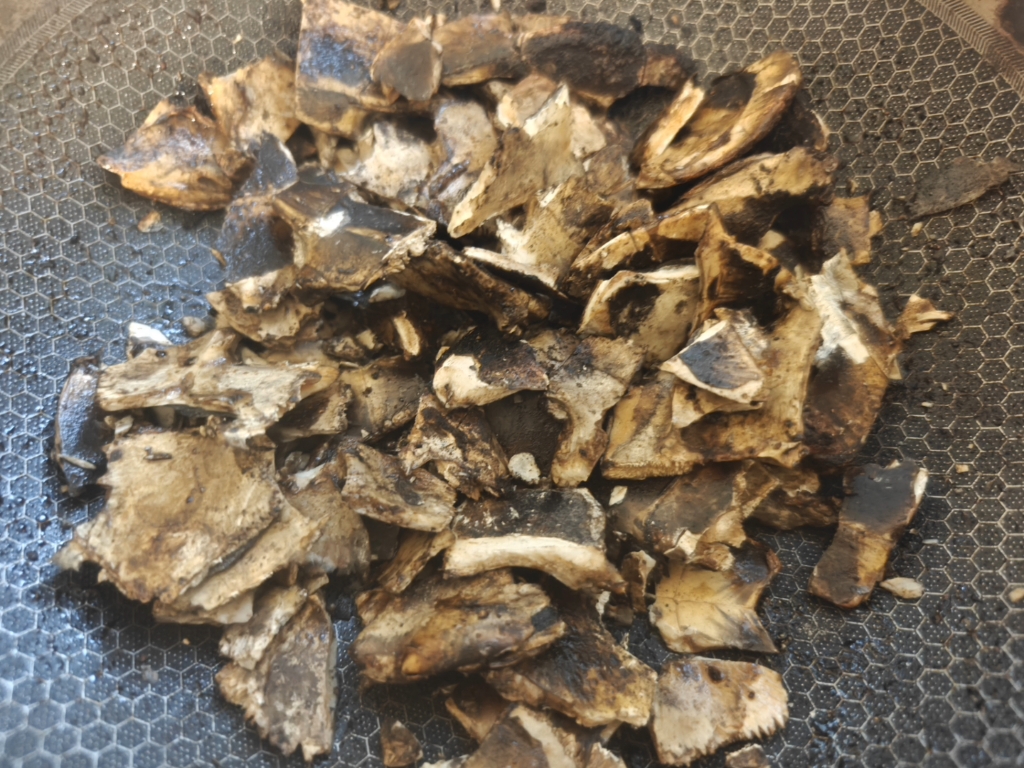炙龟板炙龟板别名