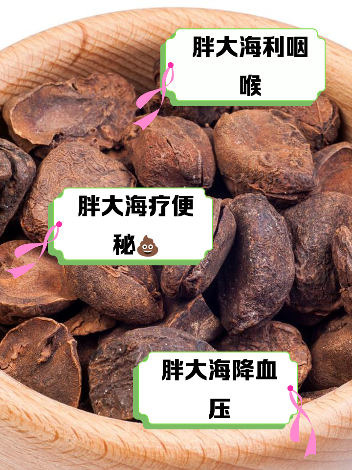 胖大海的作用和功效以及禁忌,胖大海的作用