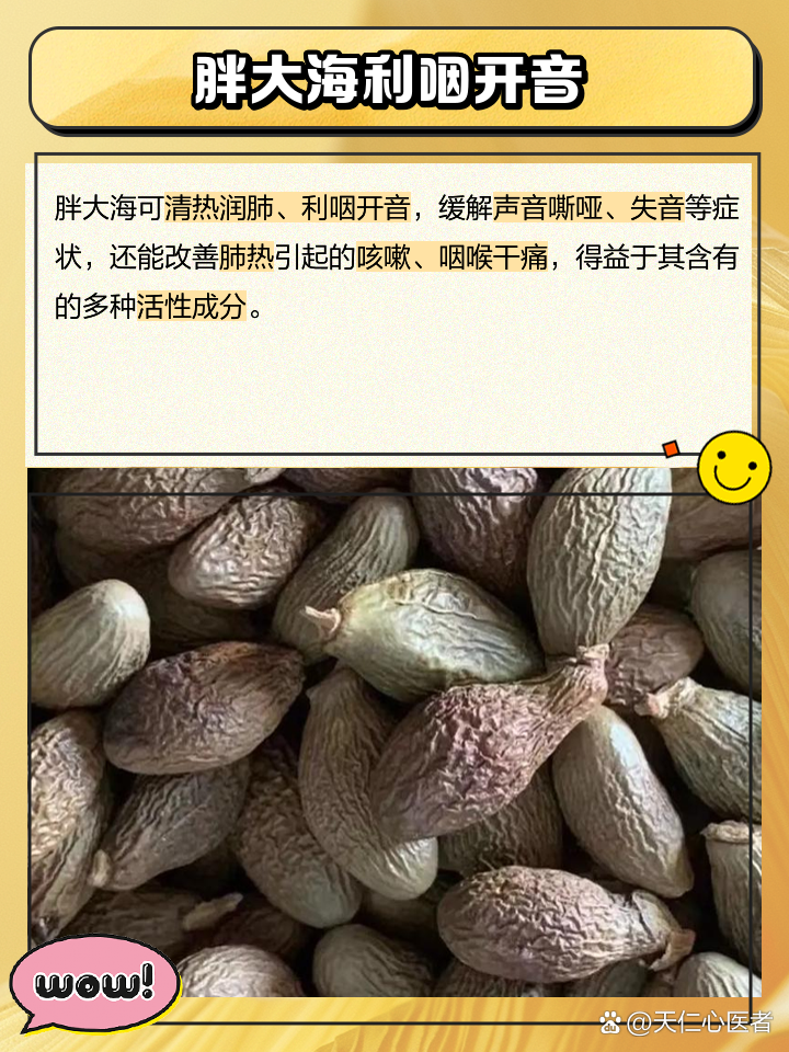 胖大海的作用和功效以及禁忌,胖大海的作用
