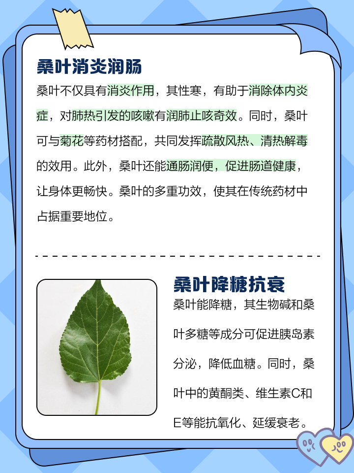 桑叶的作用与功效,桑叶茶的作用与功效