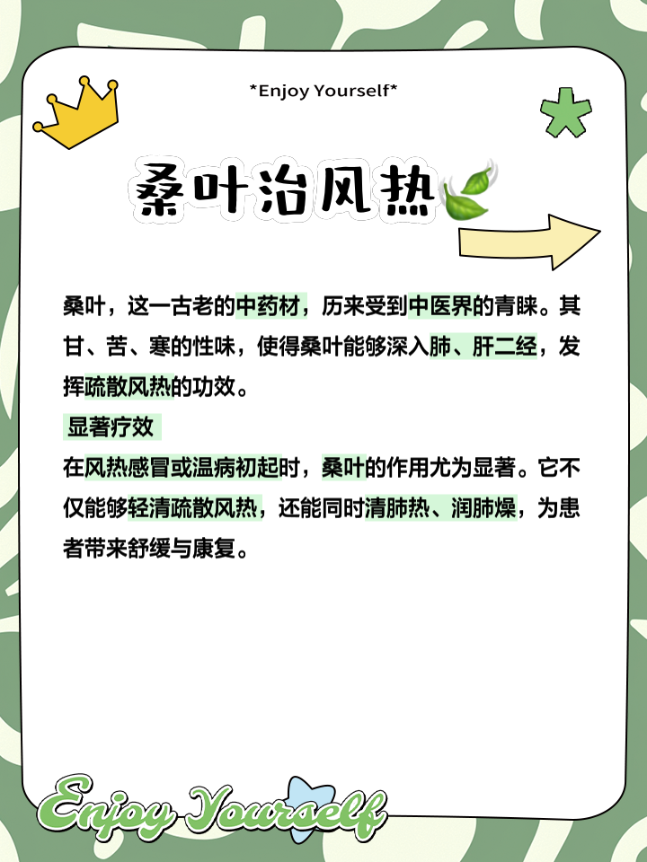 桑叶的作用与功效,桑叶茶的作用与功效