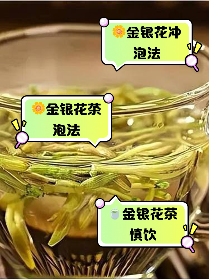 金银花茶用多少度的水来泡最好,金银花茶用多少度的水来泡