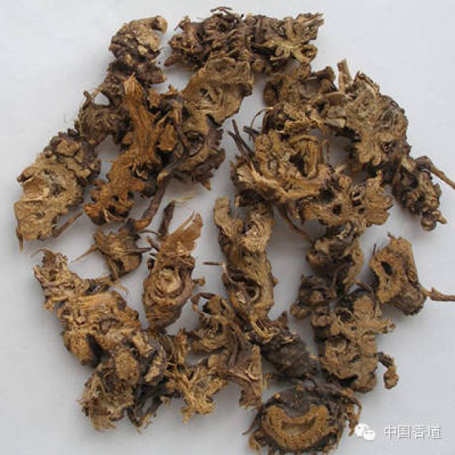 藁木功效作用与主治藁木