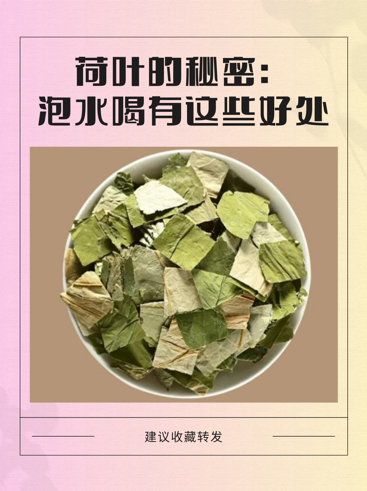 泡水喝的减肥,泡水喝的减肥果是什么