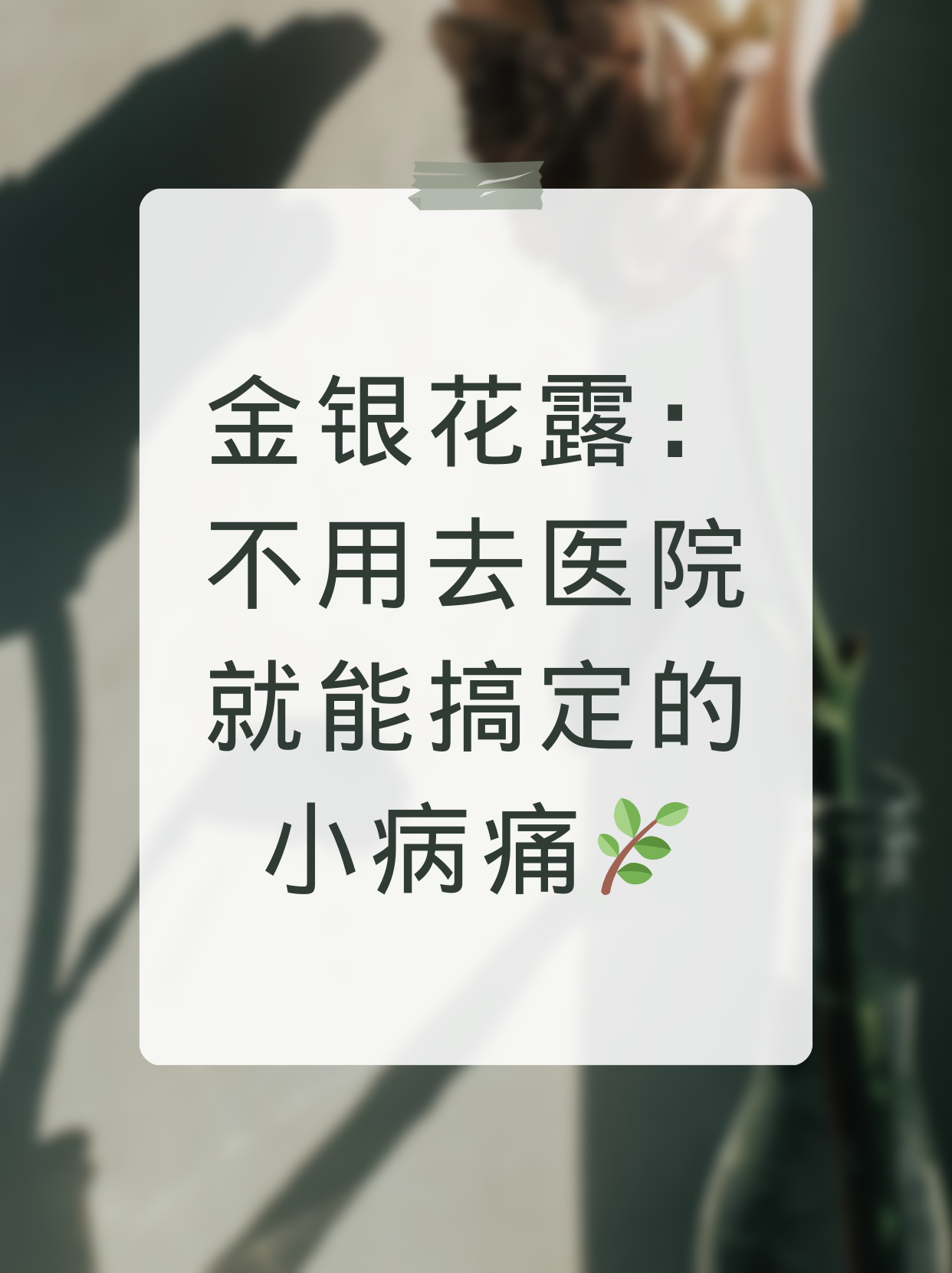 金银花露作者的代表作,金银花露的代表作简介