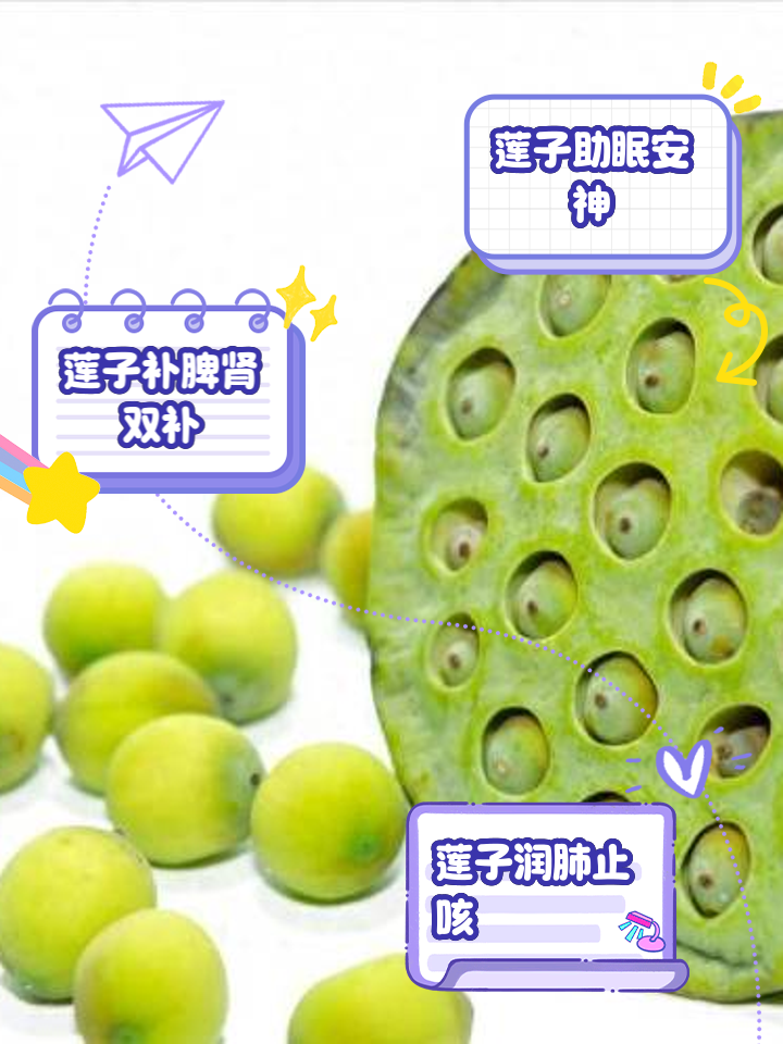 莲子的功效与作用莲子的功效与作用怎么吃