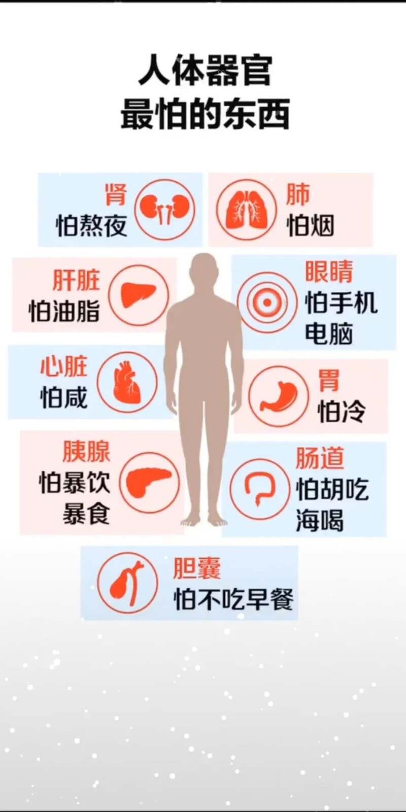 排毒减肥片多少钱一盒,排毒能减肥