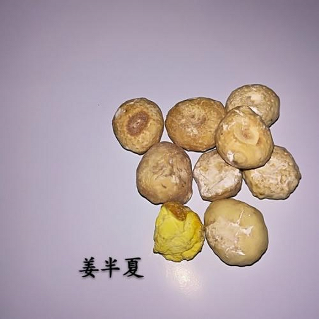 姜半夏图片,姜半夏