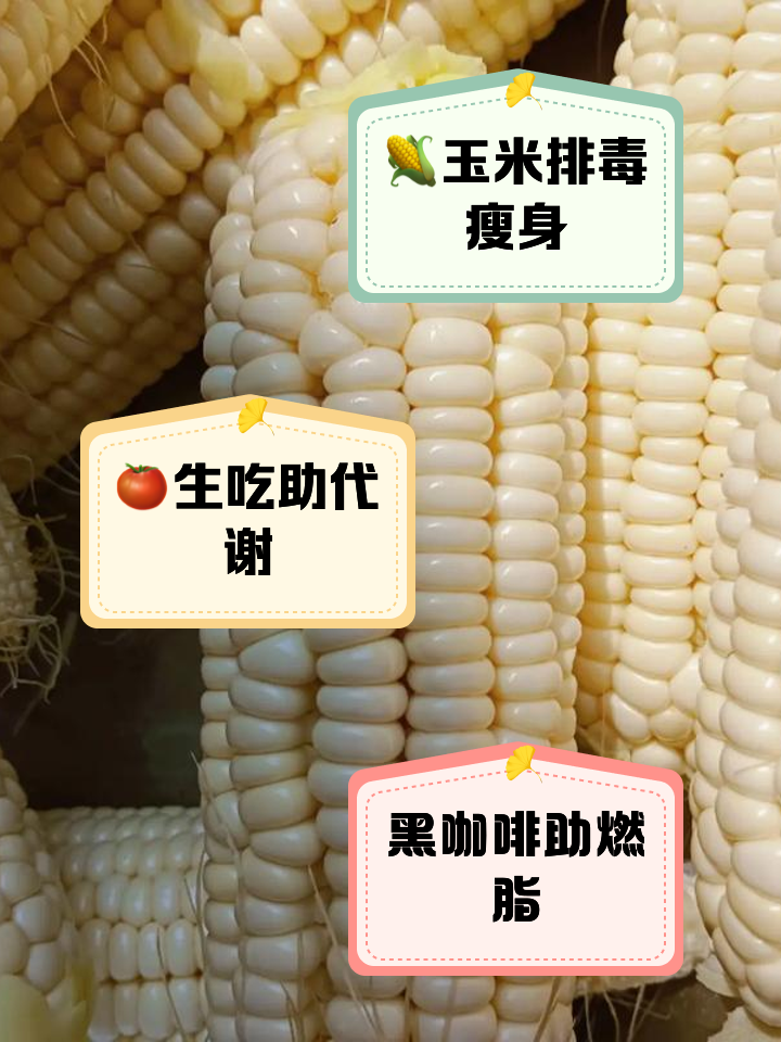 减肥吃什么瘦得快,减肥吃什么瘦得快,无副作用