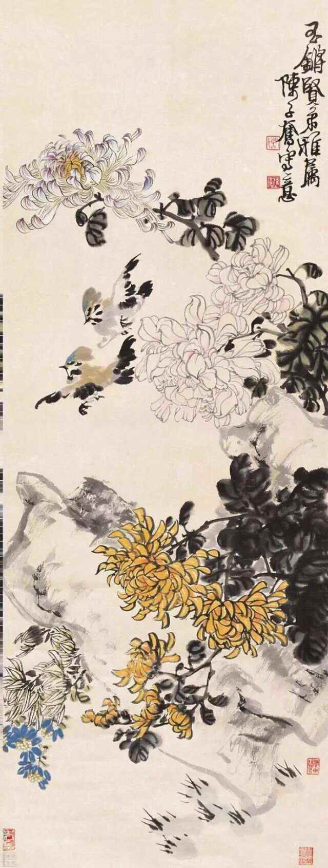 菊花图片大全大图画,菊花图片大全大图画秋菊图片