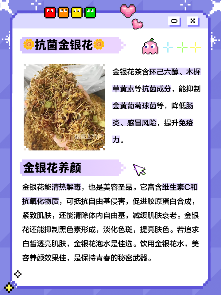 金银花有什么作用泡水喝,金银花泡水有什么好处