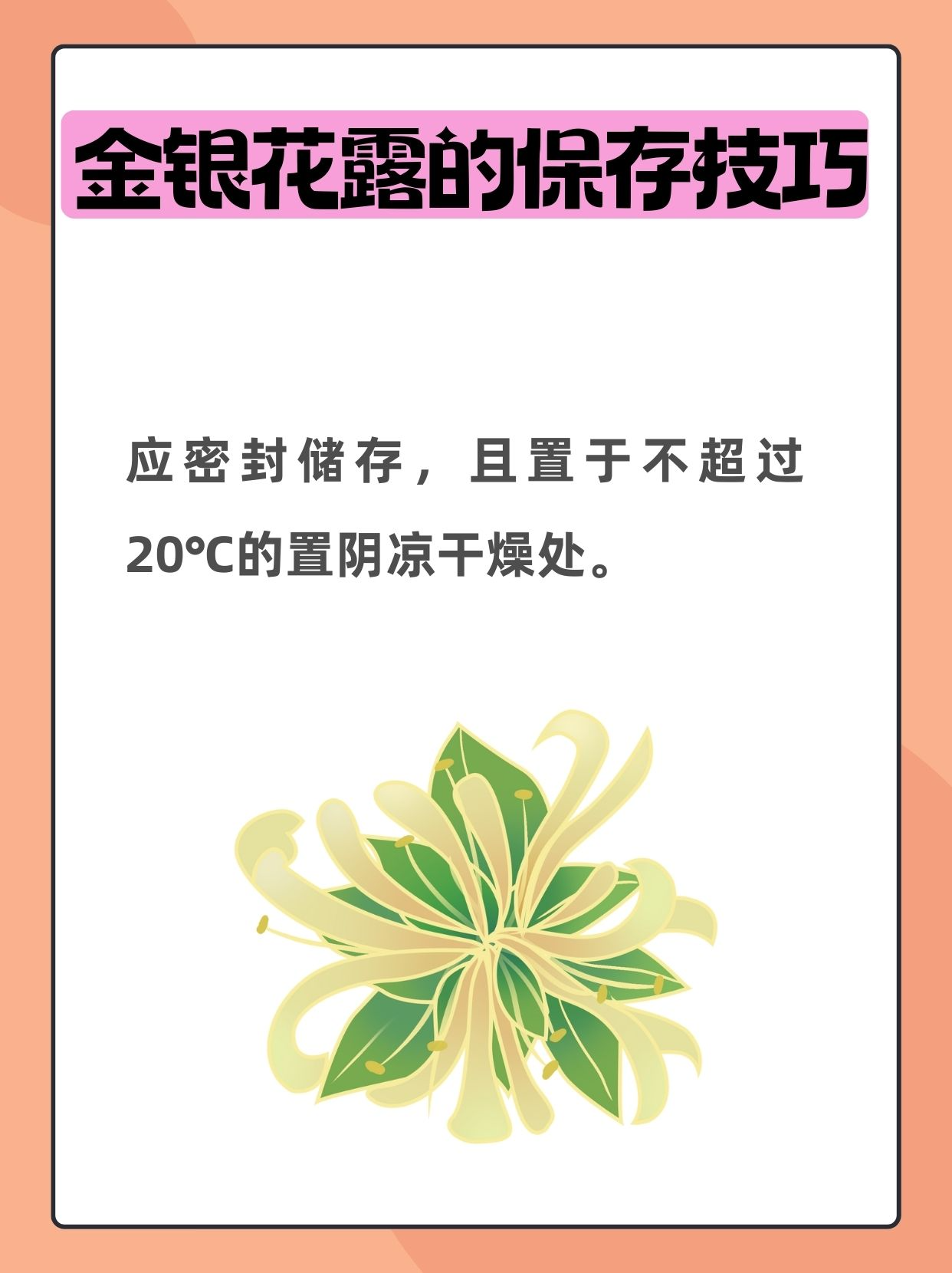 学院金银花露写了什么文学院 金银花露全文