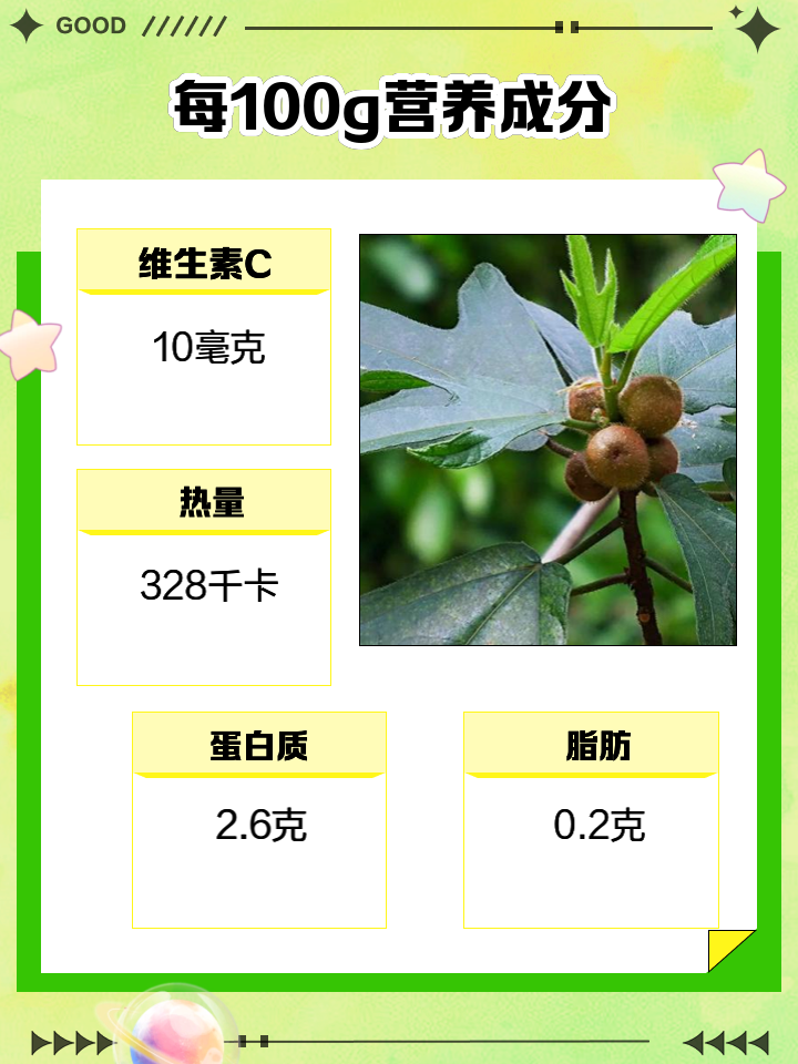 五指毛桃的功效土茯苓的功效五指毛桃的功效