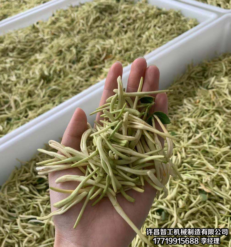 金银花怎么烘干好金银花怎么烘干好喝