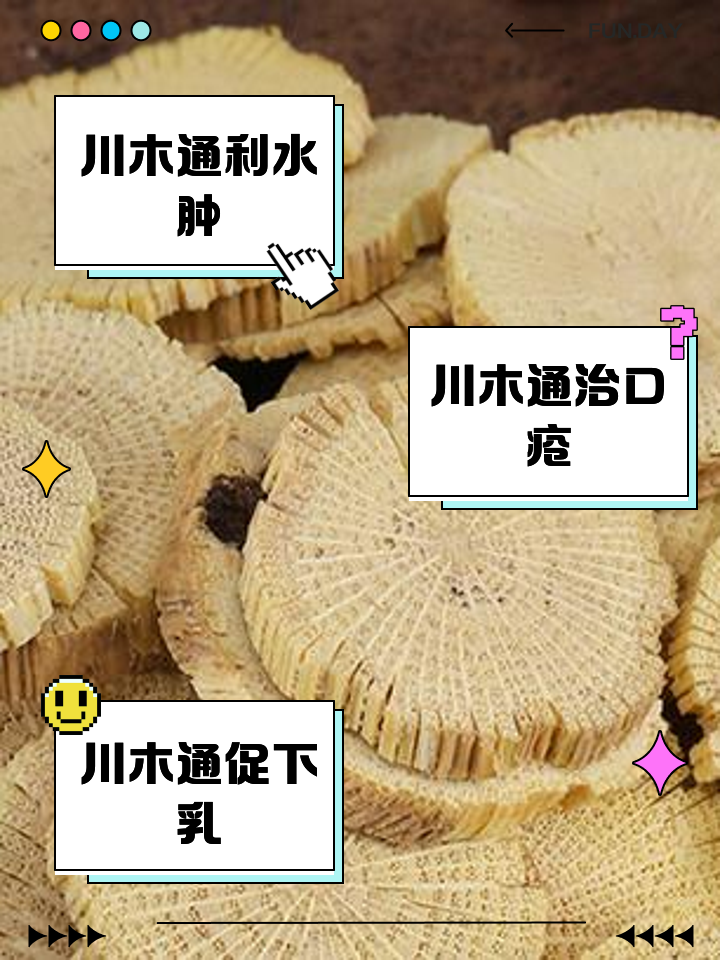 木通与关木通和川木通有什么不同吗,木通与关木通