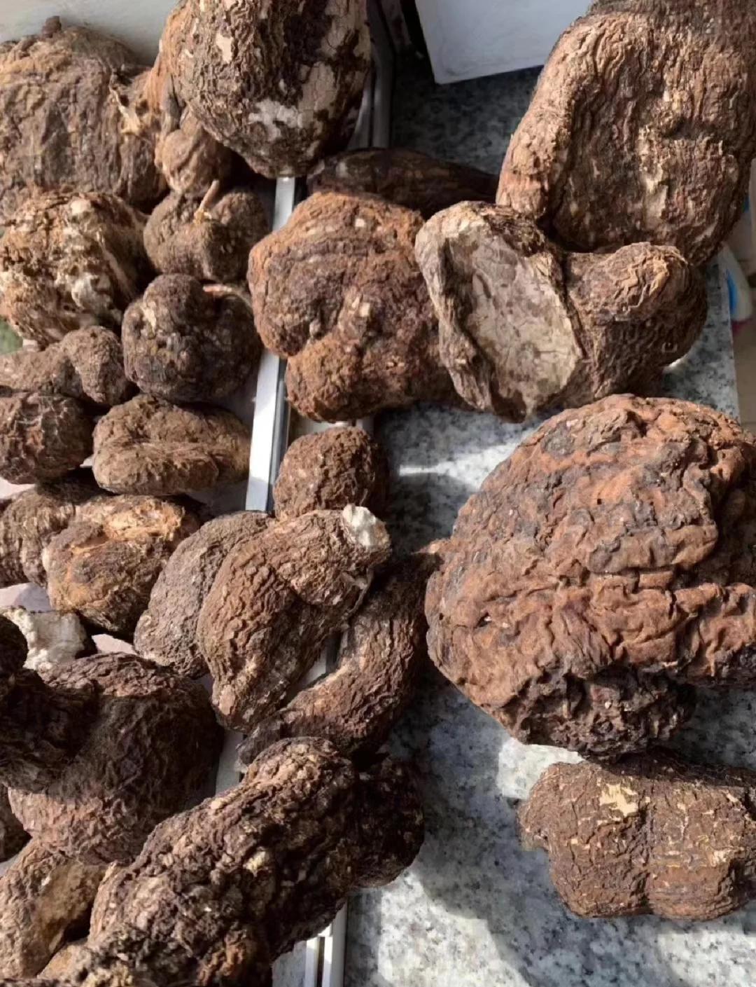 伏苓什么功效和作用百度百科伏苓什么功效和作用