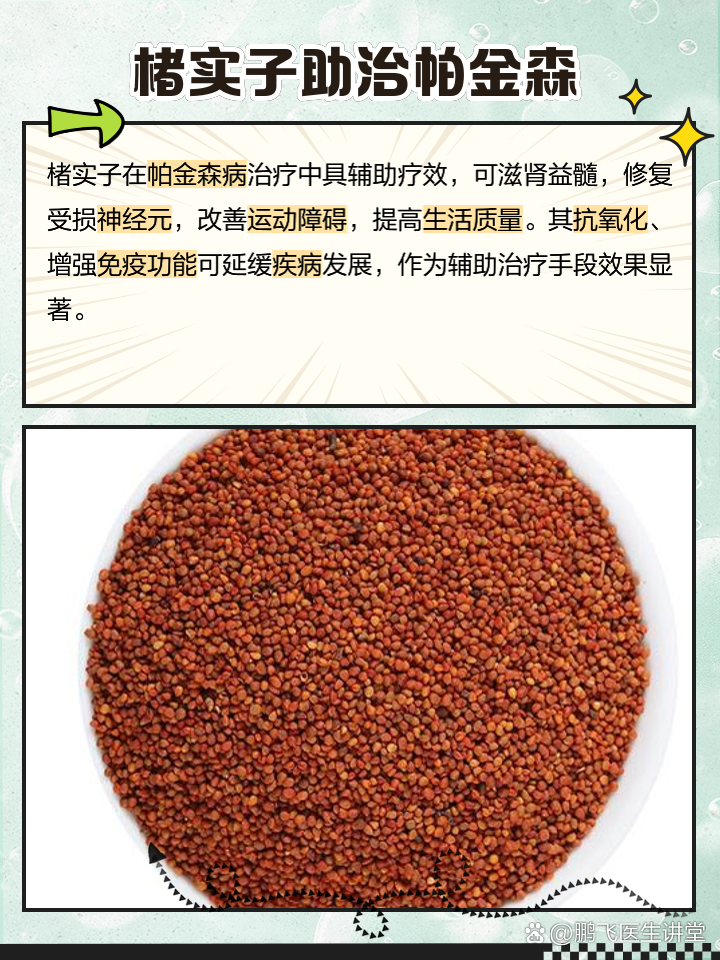 楮实花的功效,楮实