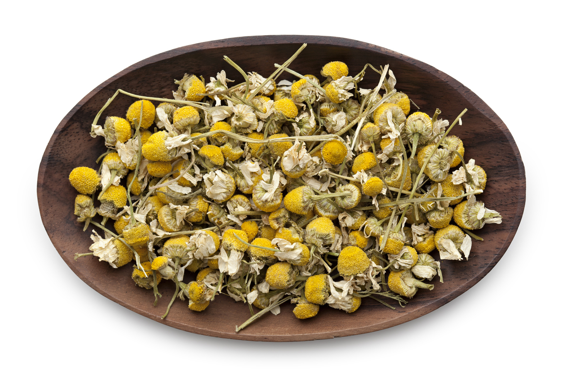 胎菊,胎菊的图片