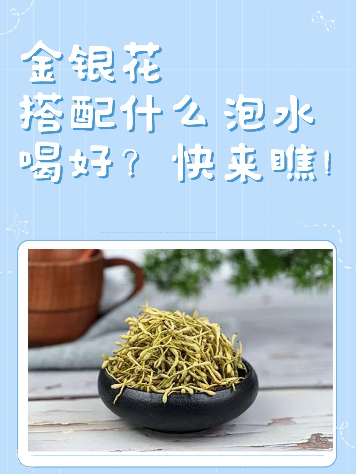 金银花泡茶有什么作用金银花和菊花茶哪个去火效果好