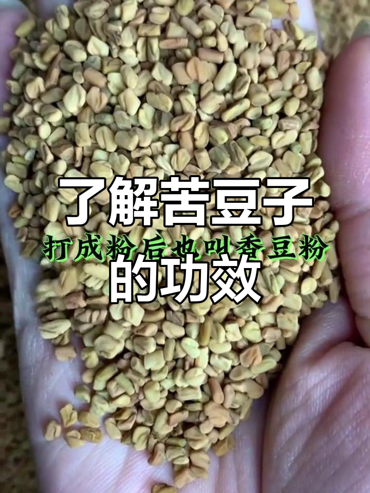 苦豆子,苦豆子香料