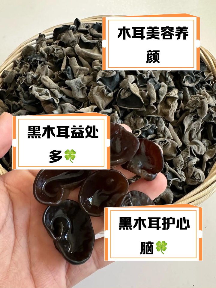 黑木耳减肥,木耳减肥一周瘦10斤