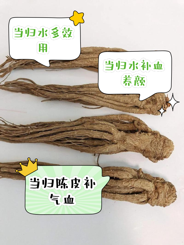 当归的作用当归的作用与功能主治是什么意思
