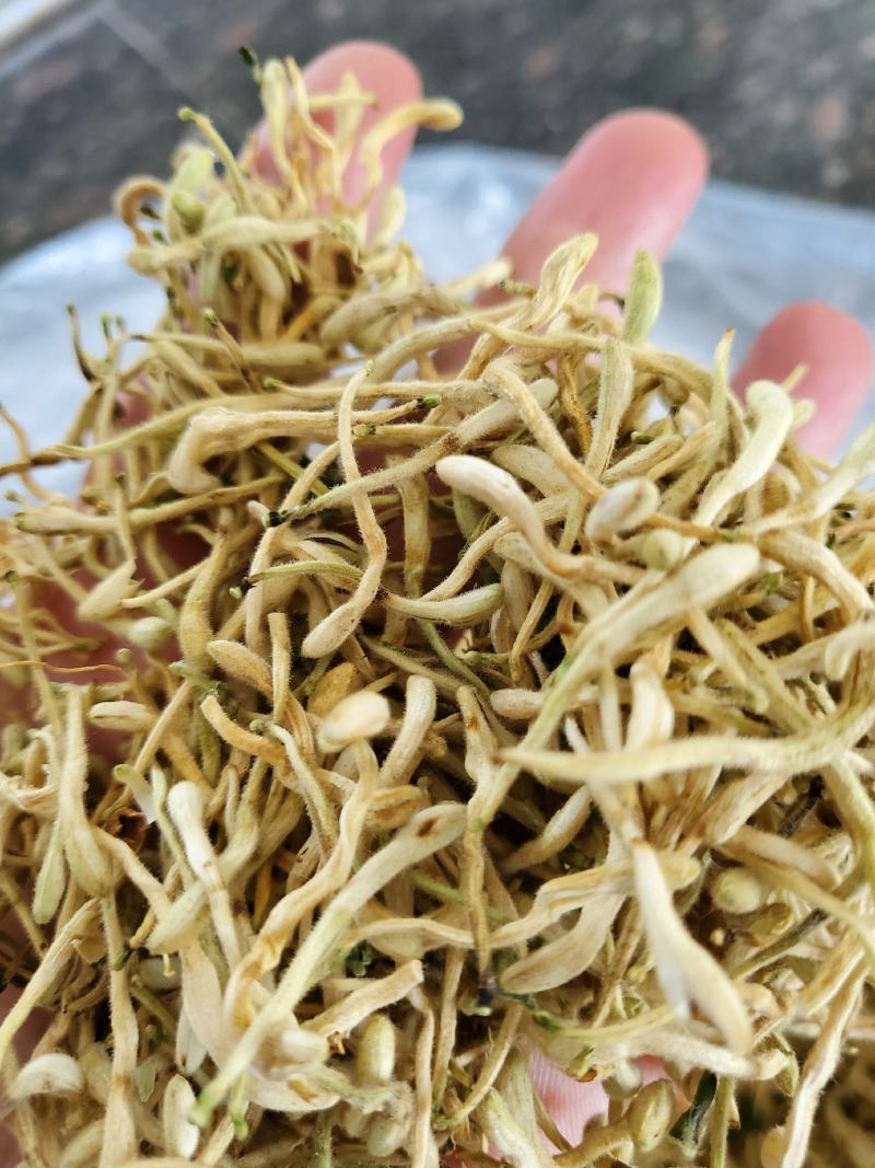 金银花的产地变迁,金银花的生产地