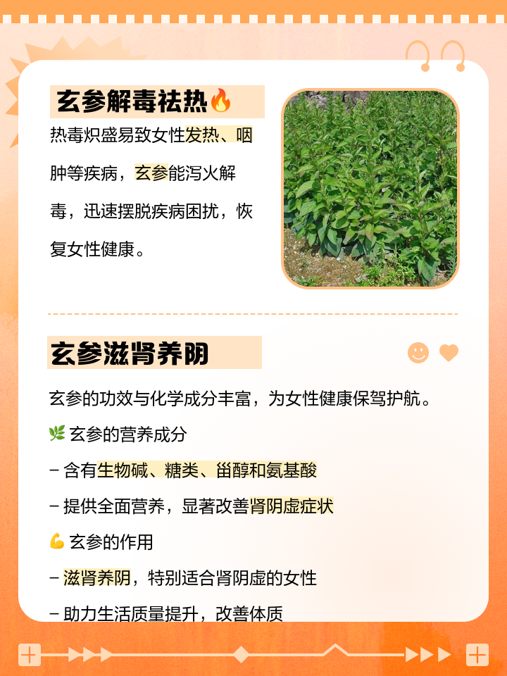 玄参的作用和功效麦冬玄参的作用和功效