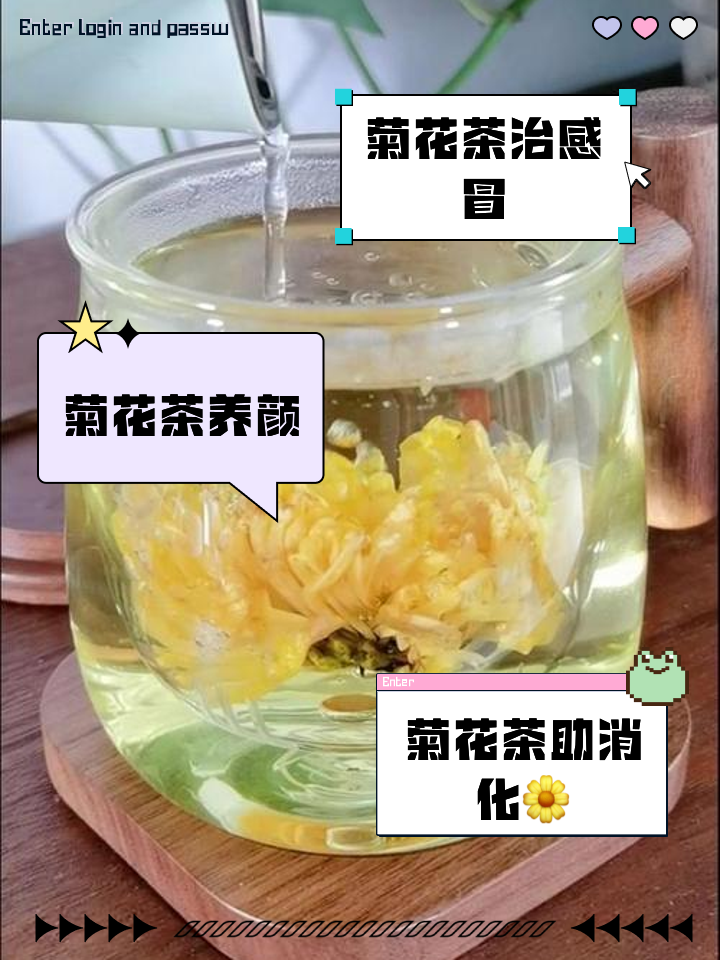 玫瑰花加菊花泡水喝有什么功效,菊花泡水喝有什么功效